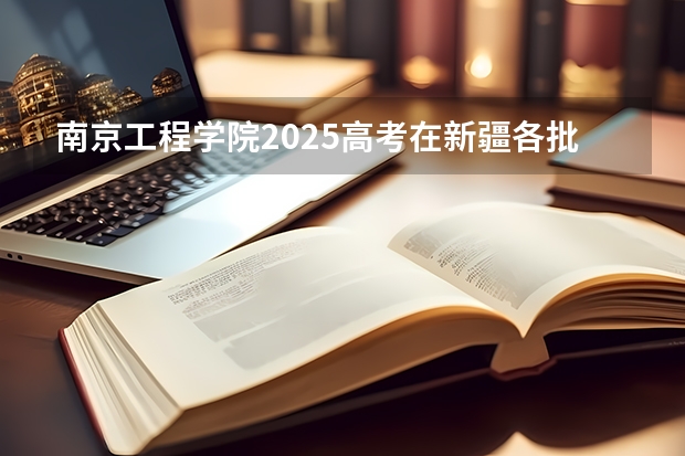 南京工程学院2025高考在新疆各批次选科要求如何