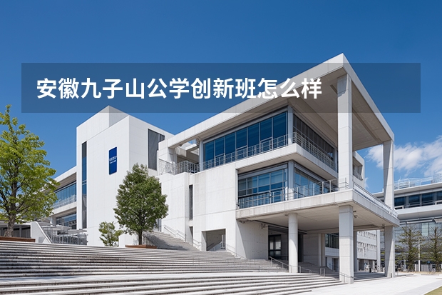 安徽九子山公学创新班怎么样