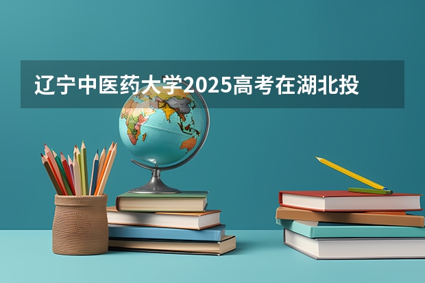 辽宁中医药大学2025高考在湖北投档分数线