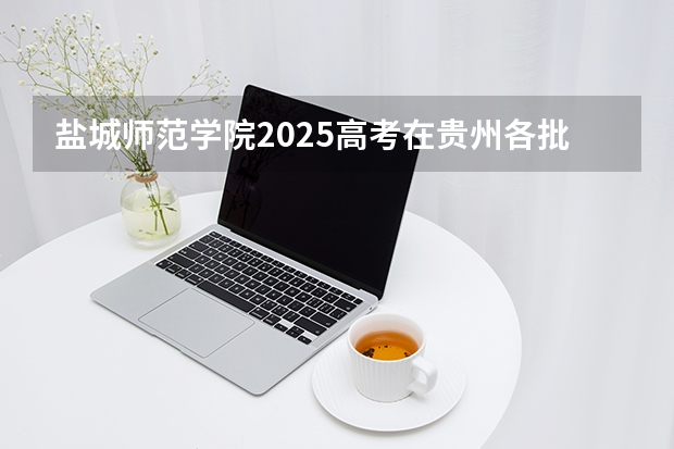 盐城师范学院2025高考在贵州各批次选科要求如何