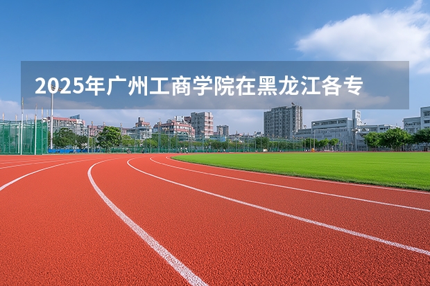 2025年广州工商学院在黑龙江各专业都招多少人（2026参考）