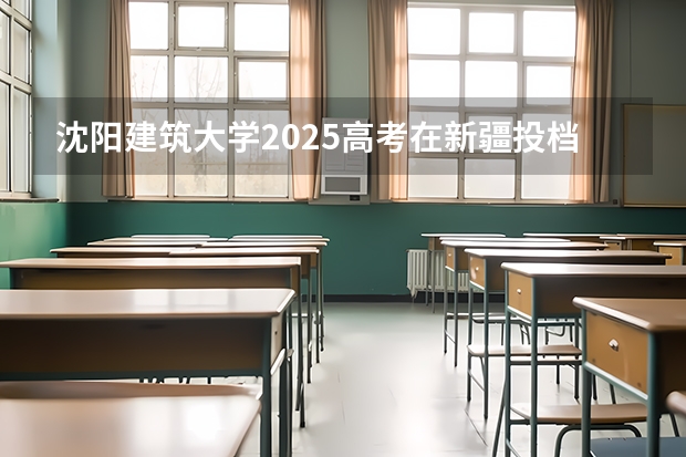 沈阳建筑大学2025高考在新疆投档分数线