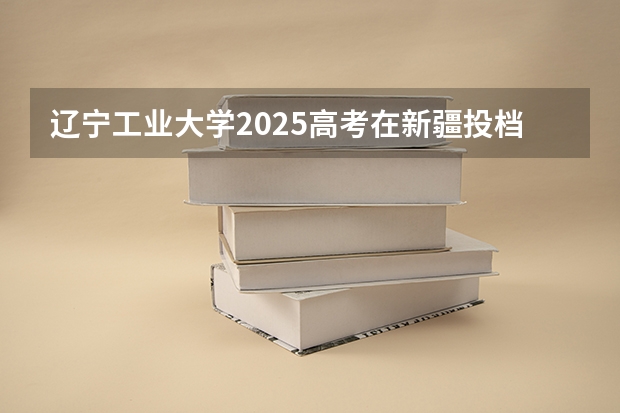 辽宁工业大学2025高考在新疆投档分数线