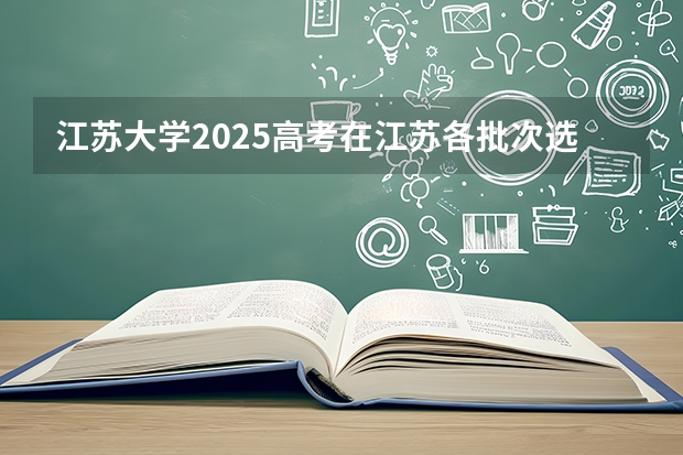 江苏大学2025高考在江苏各批次选科要求如何