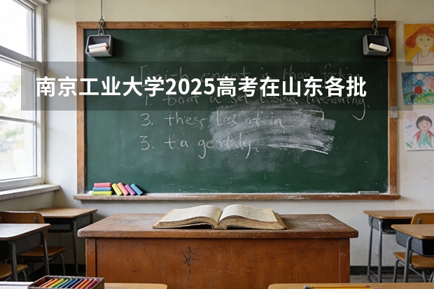 南京工业大学2025高考在山东各批次选科要求如何