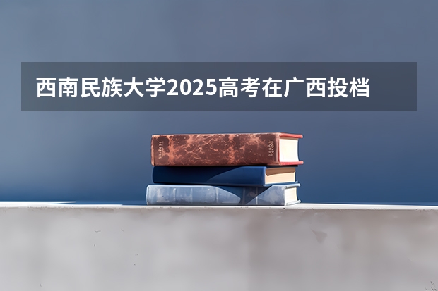 西南民族大学2025高考在广西投档分数线