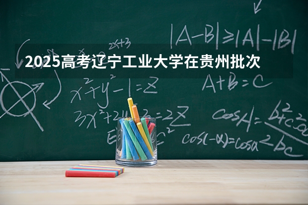 2025高考辽宁工业大学在贵州批次选科要求有哪些