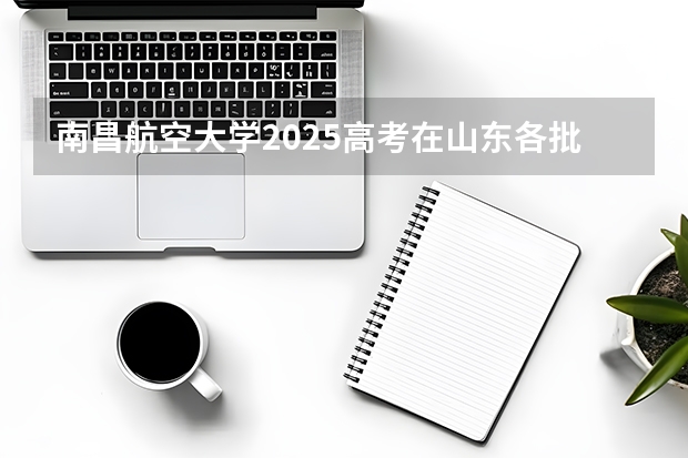 南昌航空大学2025高考在山东各批次选科要求如何