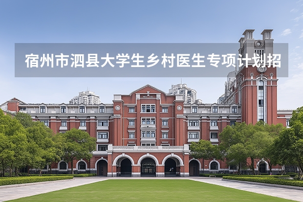 宿州市泗县大学生乡村医生专项计划招聘14人公告（宿州市埇桥区大学生 档案存放地址）