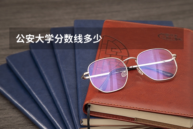 公安大学分数线多少