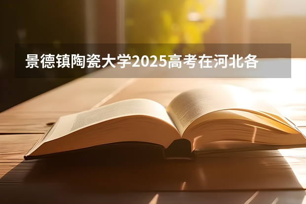 景德镇陶瓷大学2025高考在河北各批次选科要求如何