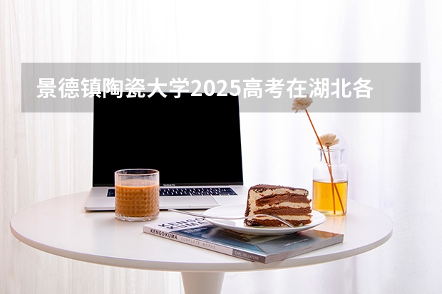 景德镇陶瓷大学2025高考在湖北各批次选科要求如何