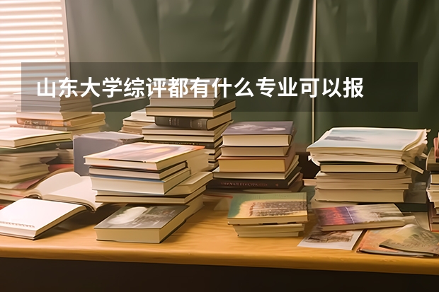 山东大学综评都有什么专业可以报