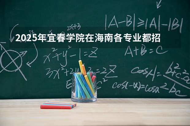 2025年宜春学院在海南各专业都招多少人（2026参考）