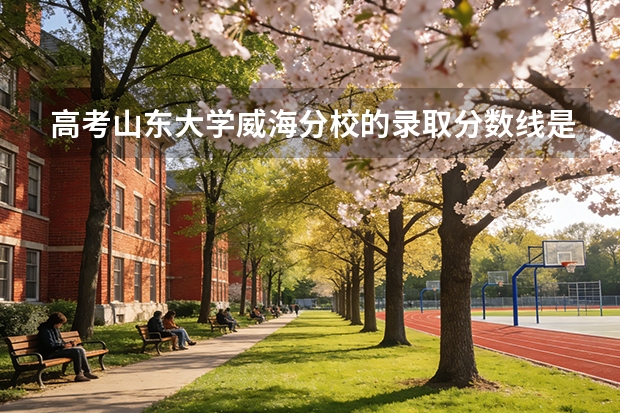高考山东大学威海分校的录取分数线是多少