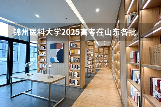 锦州医科大学2025高考在山东各批次选科要求如何