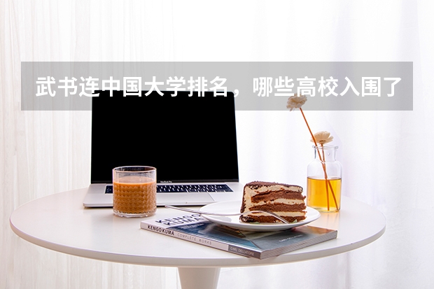 武书连中国大学排名，哪些高校入围了前50强？