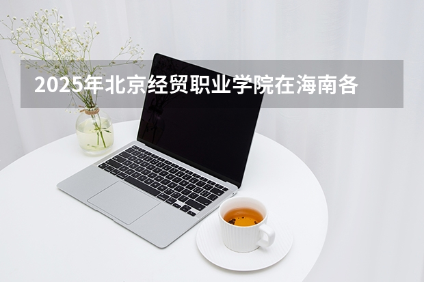 2025年北京经贸职业学院在海南各专业都招多少人（2026参考）