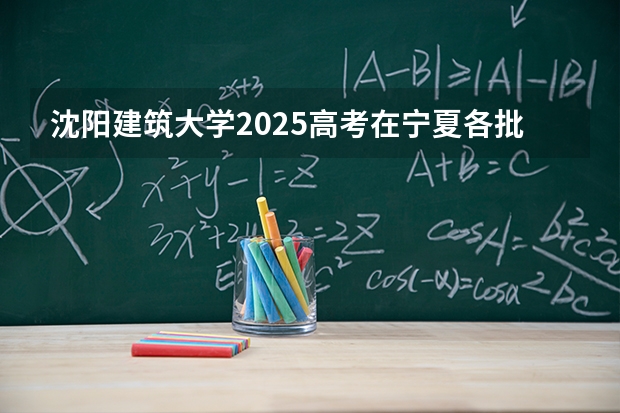沈阳建筑大学2025高考在宁夏各批次选科要求如何