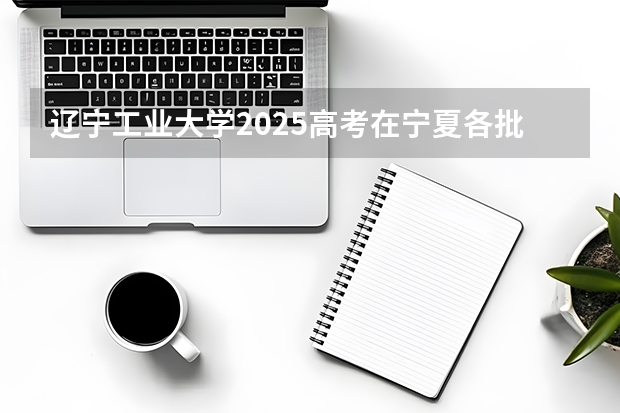 辽宁工业大学2025高考在宁夏各批次选科要求如何