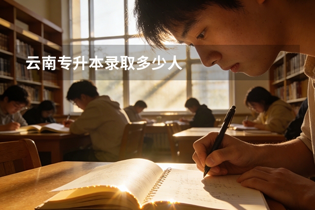 云南专升本录取多少人