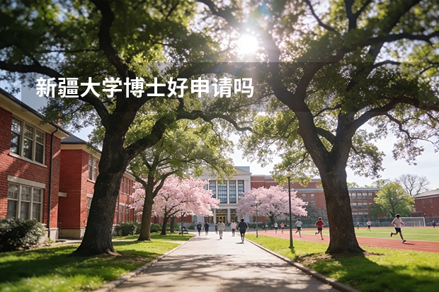 新疆大学博士好申请吗