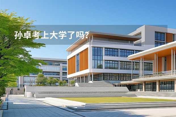 孙卓考上大学了吗？