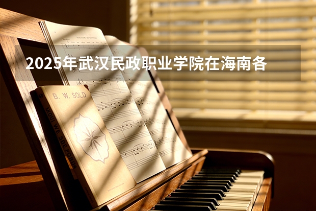 2025年武汉民政职业学院在海南各专业都招多少人（2026参考）