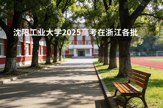 沈阳工业大学2025高考在浙江各批次选科要求如何
