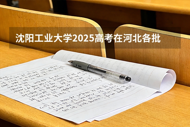 沈阳工业大学2025高考在河北各批次选科要求如何