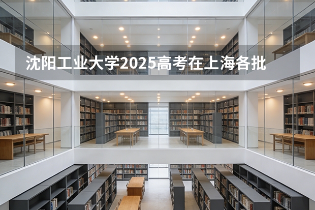 沈阳工业大学2025高考在上海各批次选科要求如何