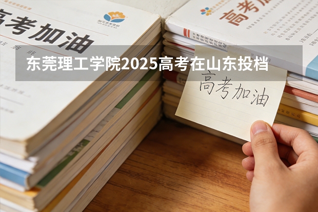 东莞理工学院2025高考在山东投档分数线