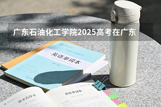 广东石油化工学院2025高考在广东投档分数线