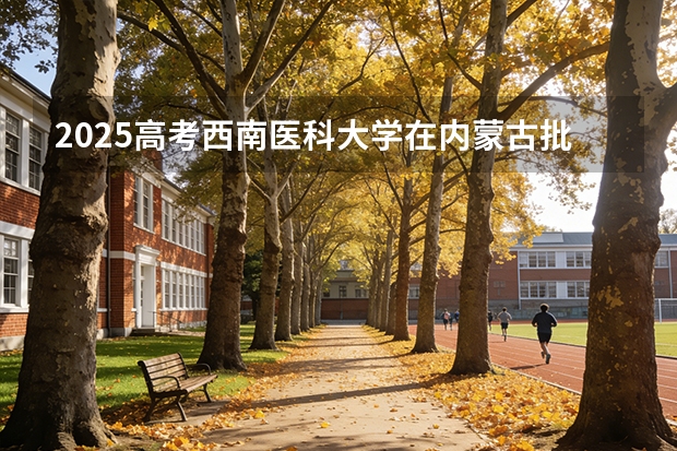 2025高考西南医科大学在内蒙古批次选科要求有哪些