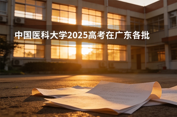 中国医科大学2025高考在广东各批次选科要求如何