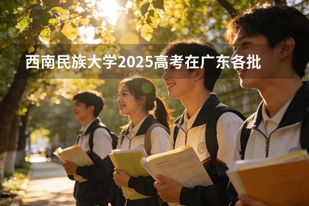 西南民族大学2025高考在广东各批次选科要求如何