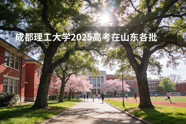 成都理工大学2025高考在山东各批次选科要求如何