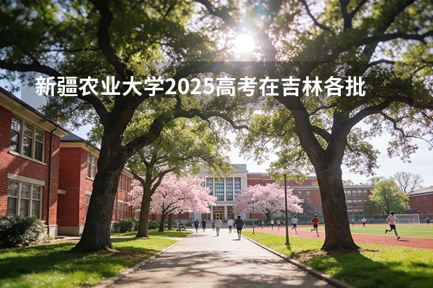 新疆农业大学2025高考在吉林各批次选科要求如何