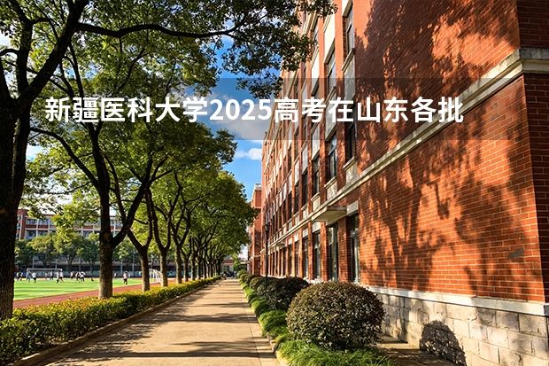 新疆医科大学2025高考在山东各批次选科要求如何