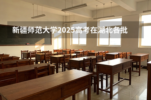 新疆师范大学2025高考在湖北各批次选科要求如何