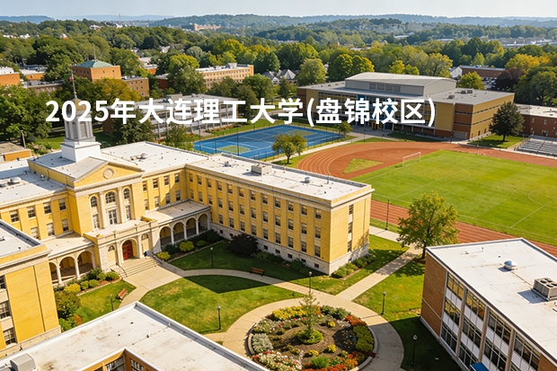 2025年大连理工大学(盘锦校区)在海南各专业都招多少人（2026参考）