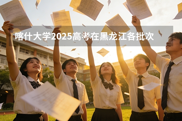 喀什大学2025高考在黑龙江各批次选科要求如何