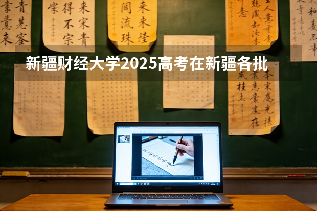 新疆财经大学2025高考在新疆各批次选科要求如何