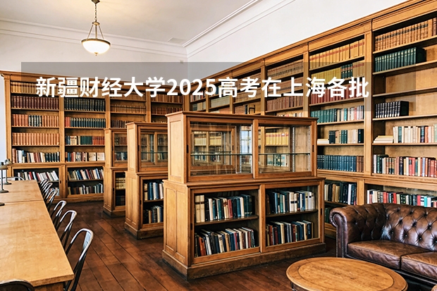 新疆财经大学2025高考在上海各批次选科要求如何