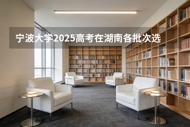 宁波大学2025高考在湖南各批次选科要求如何