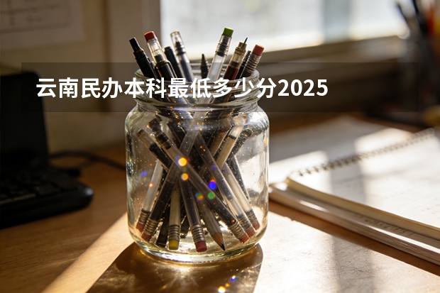 云南民办本科最低多少分2025