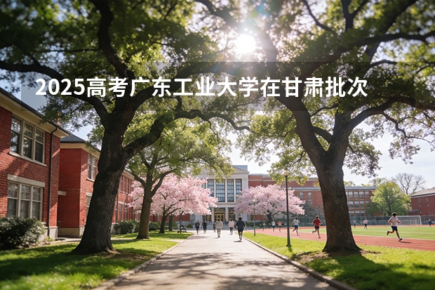 2025高考广东工业大学在甘肃批次选科要求有哪些