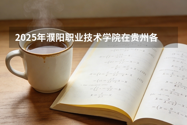 2025年濮阳职业技术学院在贵州各专业都招多少人（2026参考）