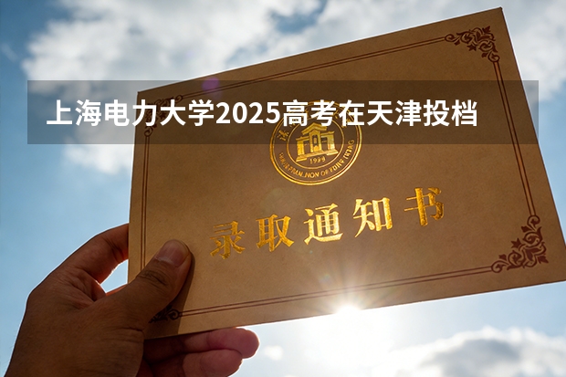 上海电力大学2025高考在天津投档分数线