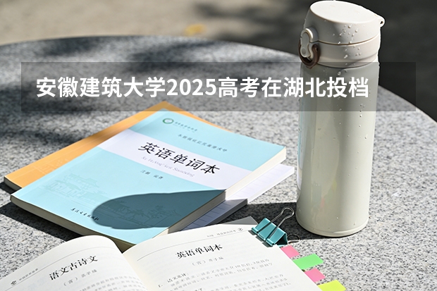 安徽建筑大学2025高考在湖北投档分数线
